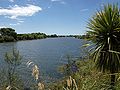 Thumbnail for Rangitaiki River