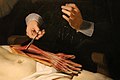 Rembrandt, la lezione di anatomia del dottor tulp, 1632, 09 mani.jpg