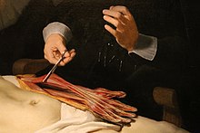 La anatomia leciono de D-ro Nicolaes Tulp (eltiraĵo) de Rembrandt