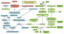 Heart Failure Pathophysiology Flow Chart