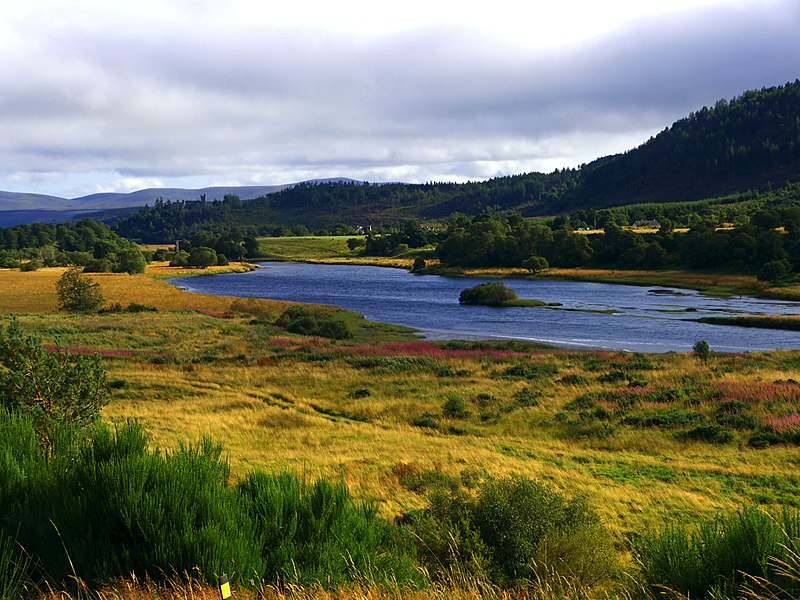 File:Riverscape - panoramio.jpg