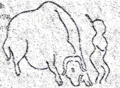 Humano perseguido por un bisonte, Roc de Sers (Charente, Francia)