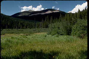 Rocky Mountain National Park ROMO9004.jpg