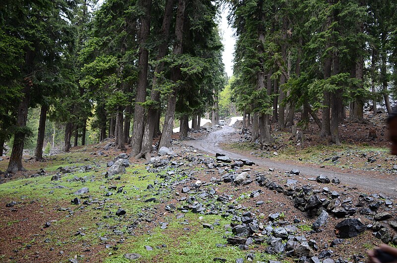 Mahodand Lake Road from Kalam Valley