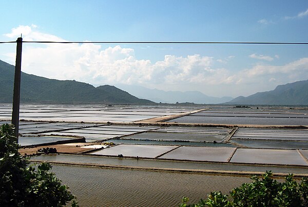 Image: Ruộng muối Phan Rang