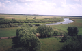 Narew koło Drozdowa