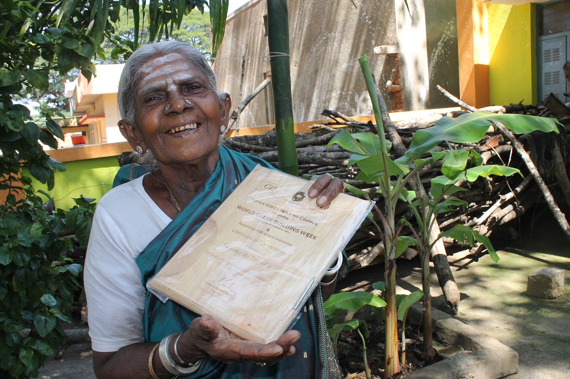 Люди живущие на деревьях. Saalumarada Thimmakka.