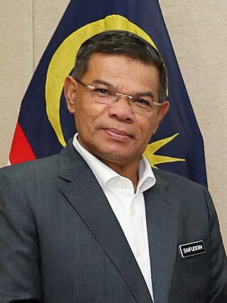 <span class="mw-page-title-main">Saifuddin Nasution Ismail</span> Malaysian politician