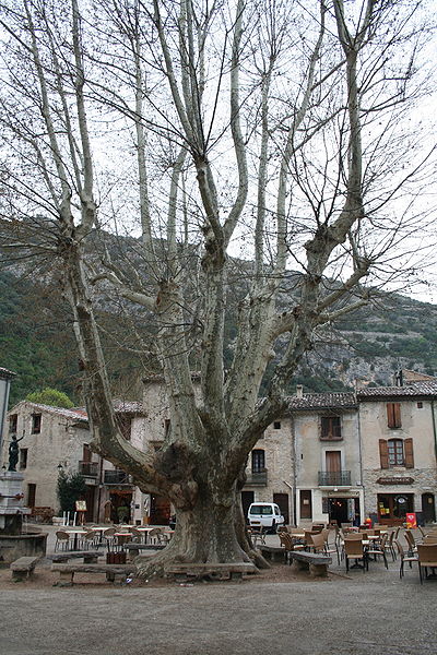 File:Saint-Guilhem-le-Desert place.JPG