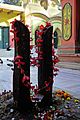 * Nomination Sarbamangala Temple at Cossipore is associated with the name of famous Robber Raghu sardar. In his dream, he found a stone and started worshiping it as the symbol of Goddesss kali. The First priest of this temple is Ram Sharan Shimlai and his decedents are are the present custodian of the temple. It is said that the temple is established in 1610 AD , but present conditions claimed to have a deed, which stated that the temple was registered during the rule of Nawab Alibardi Khan (1740-1756). By User:Arup1981 --Kritzolina 07:03, 7 February 2017 (UTC) * Decline Only the blossoms are sharp. Nice motiv but not a QI for me. --Ermell 08:10, 7 February 2017 (UTC)