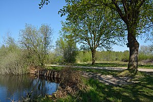 Schleswig-Holstein, Heide, Ostroher-Süderholmer Moor NIK 0161.JPG