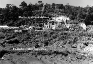 <span class="mw-page-title-main">Santa Maria Formation</span> Geologic formation in Brazil