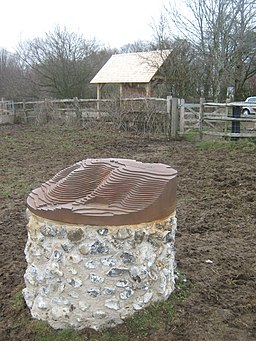 Sculpture and Information Board for the Wye Downs Nature Trail - geograph.org.uk - 1772137