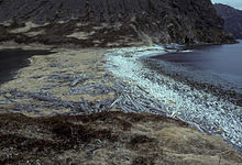 Shumagin Islands, Nagai Island, 1985