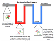 Uht Milk Process Flow Chart