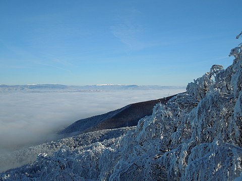 Pohľad na poľské Poloniny – Bieszczady s najvyšším vrchom Tarnica zo Sninského kameňa