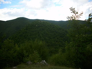 <span class="mw-page-title-main">Sokograd (Pliva)</span> Fortress in Bosnia and Herzegovina