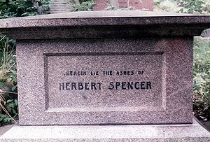 Herbert Spencer