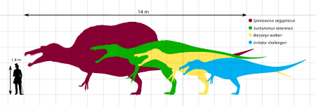 Tập tin:Spinosauridae Size Diagram by PaleoGeek.svg