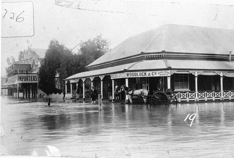 File:StateLibQld 1 107612 Woodlock's stock and station agent's office in the Goondiwindi floods of 1921.jpg