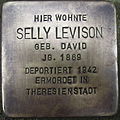 image=File:Stolperstein Bückeburg Lülingstraße 10 Selly Levison.jpg