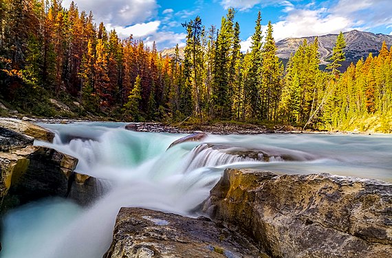 Sunwapta falls is one of the most scenic waterfalls in Alberta province. Photograph: Bitan Banerjee