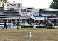 The County Cricket Ground in Hove has been the main home of Sussex cricket since 1872 Sussex County Cricket Club - geograph.org.uk - 1189966.jpg