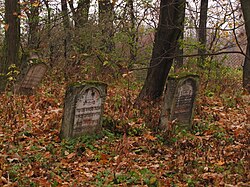 Szczebrzeszyn, ul. Cmentarna, cmentarz żydowski (ID 608007) 33.jpg