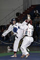 el taekwondo (o taekwondo)