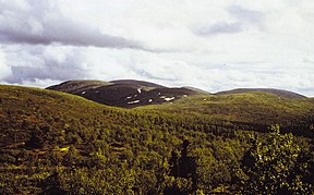 Der Fjell Taivaskero im Nationalpark