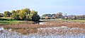 Insel im Döllnitzsee bei Wermsdorf