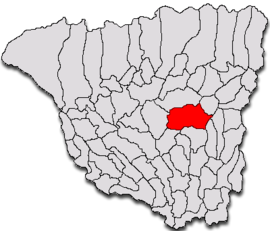 Location in Gorj County