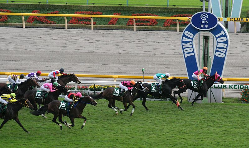 File:The 58th Fuchu Himba Stakes 20101017R1.jpg