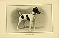 The dog in health, accident, and disease (7105919351).jpg