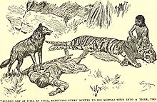 Mowgli scuoia Shere Khan mentre Akela trattiene Buldeo, illustrazione di J. L. Kipling, 1894.