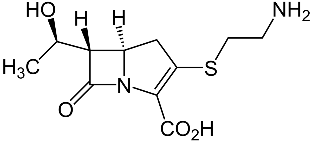 Thienamycin - Wikipedia