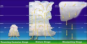 Convective cloud's thickness, between its base and top, shown on the background scale at different stages of its life Thunderstorm formation.jpg