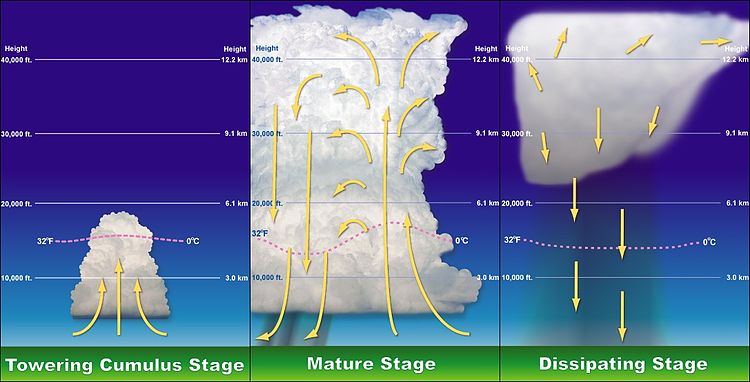 Stages of a thunderstorm's life. Thunderstorm formation.jpg