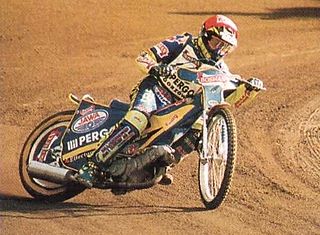 <span class="mw-page-title-main">1993 Swedish speedway season</span> Season of speedway in Sweden