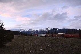 Train and elk in Jasper National Park, Alberta, Canada