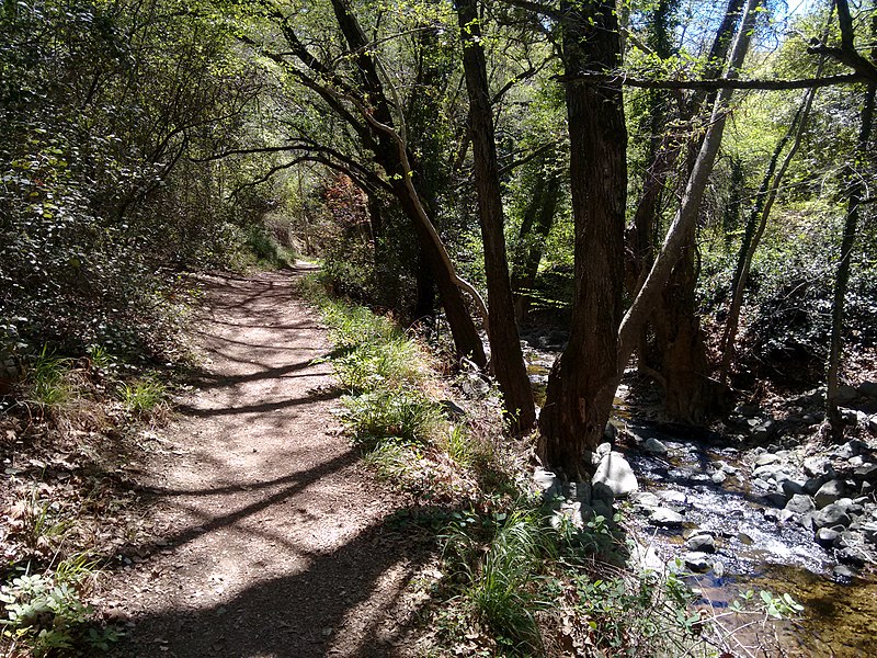 File:Troodos Mountains april 2018 img 30.jpg