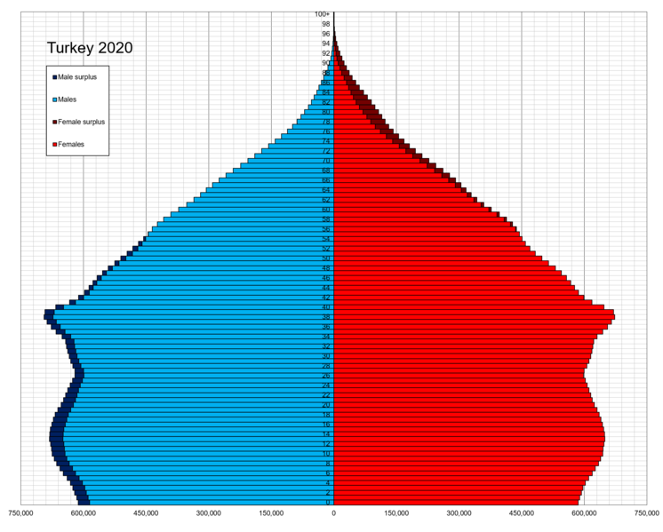 File:Turkey single age population pyramid 2020.png