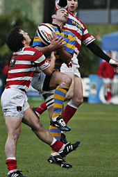 An airborne player wearing a hooped blue and yellow jersey is challenged by two opponents after leaping to catch a high ball.