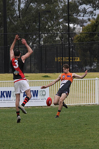 File:UWS Giants vs. Eastlake NEAFL round 17, 2015 162.jpg