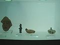 Objetos del museo. Objects in the museum.