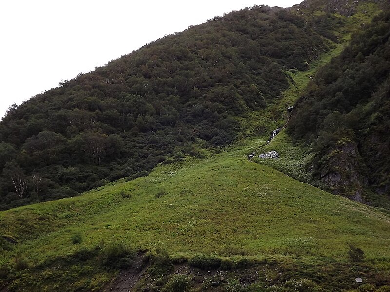 File:Valley of Flowers National Park 41.JPG