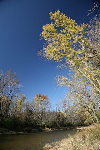 <span class="mw-page-title-main">Middle Fork Vermilion River</span> River