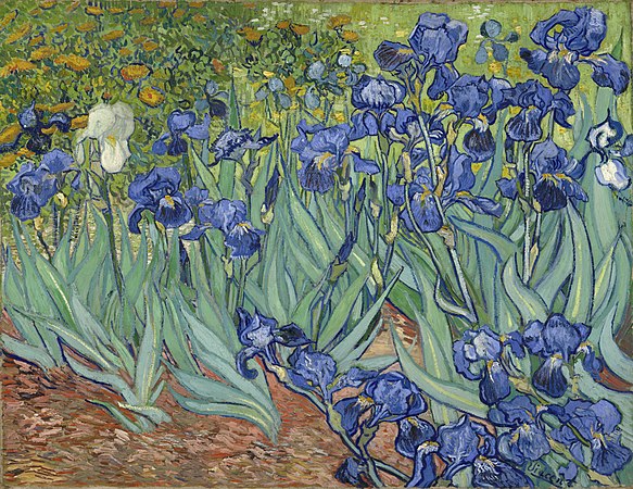梵高的作品Irises，为74,3 × 94,3公分大小的布面油画，1889年5月在法国圣雷米创作绘制。