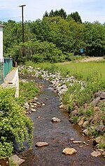 Watering Run