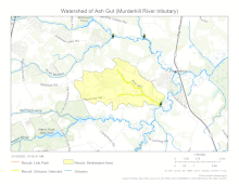 Watershed of Ash Gut (Murderkill River tributary)